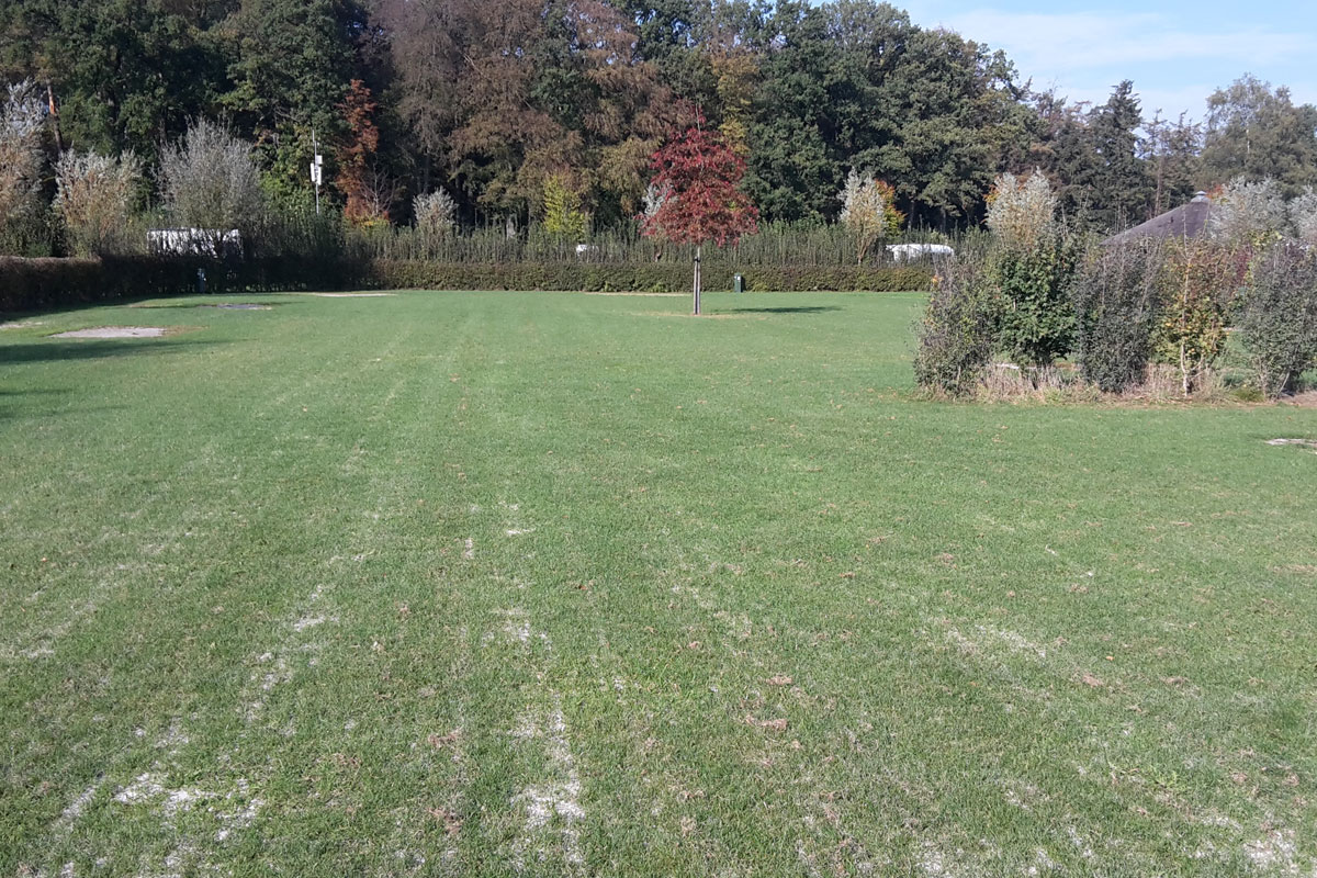 Bezanden kampeervelden