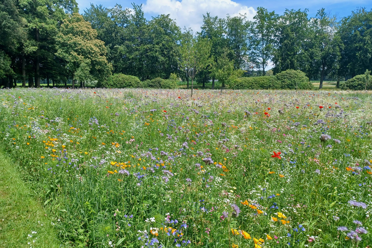 Natuuronderhoud